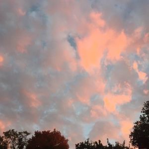 Meet your Posher, Anne